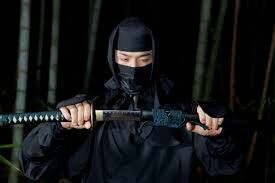 L'abbigliamento Ninja